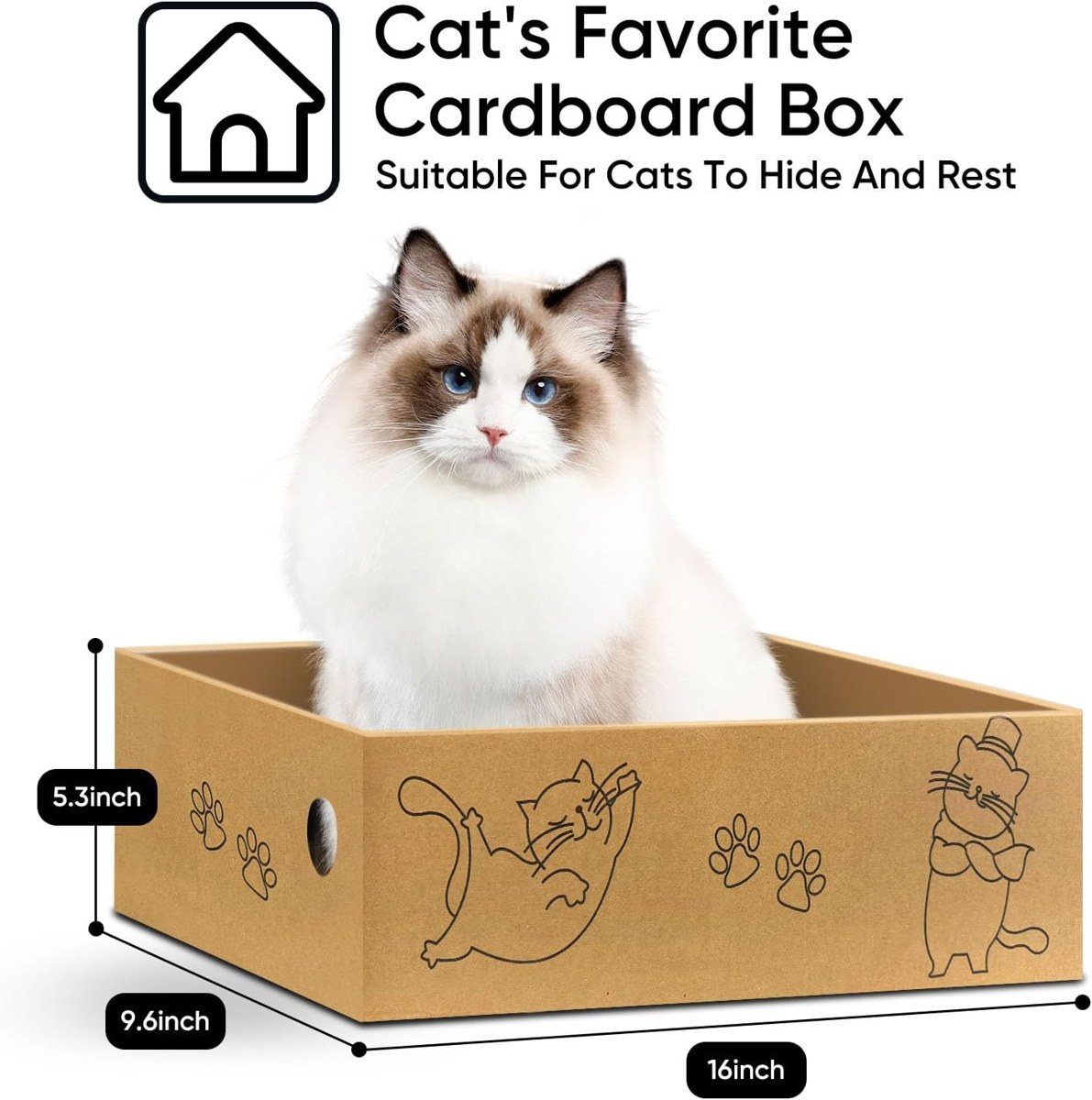 5-Pad Scratcher Box