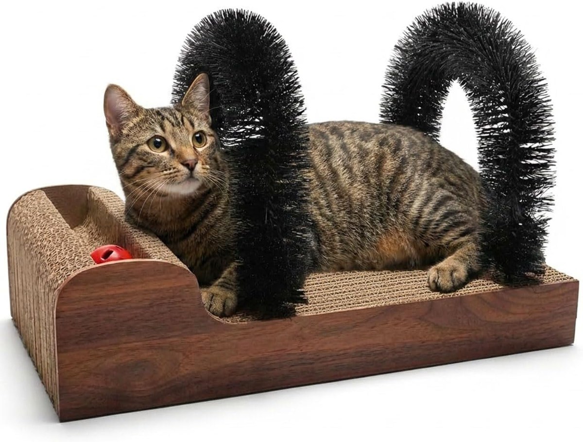 AGYM 3-in-1 Cat Scratcher with Grooming Arch and Ball